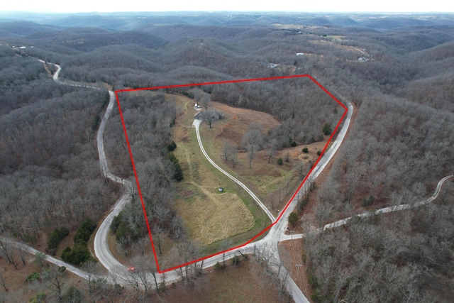 1770 Logan Ridge Rd, Ozark, MO 65721 - drone / aerial view with a rural view and a forest view