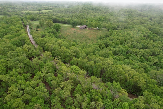 1770 Logan Ridge Rd, Ozark, MO 65721 - bird's eye view featuring a view of trees