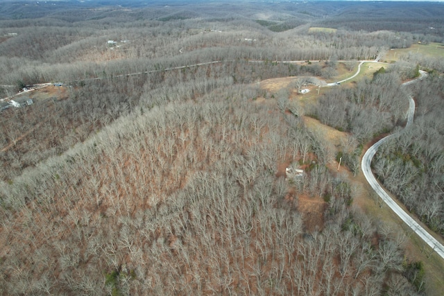 1770 Logan Ridge Rd, Ozark, MO 65721 - bird's eye view with a wooded view