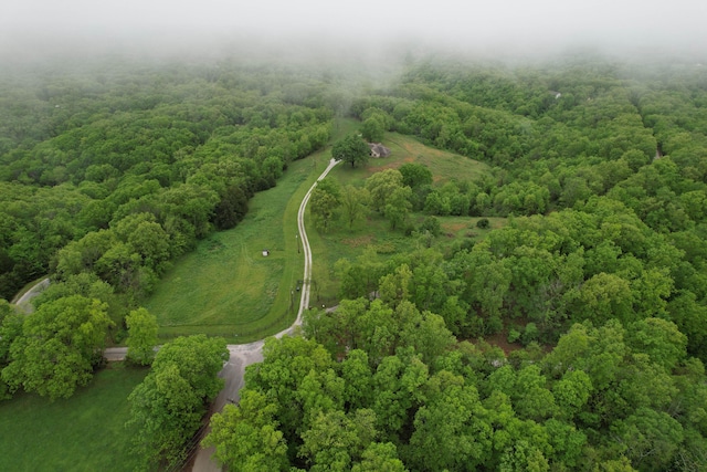 1770 Logan Ridge Rd, Ozark, MO 65721 - bird's eye view with a forest view