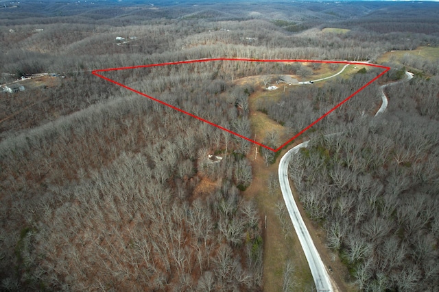 1770 Logan Ridge Rd, Ozark, MO 65721 - birds eye view of property featuring a forest view