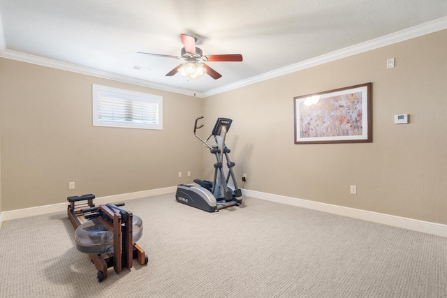 exercise room with ornamental molding, carpet, and a ceiling fan