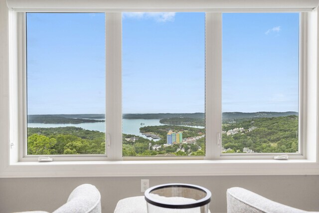 130 Royal Vista Dr Unit 611, Branson, MO 65616 - photo 3