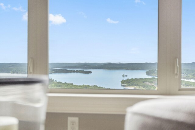 130 Royal Vista Dr Unit 611, Branson, MO 65616 - photo 21