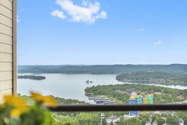 130 Royal Vista Dr Unit 611, Branson, MO 65616 - photo 22