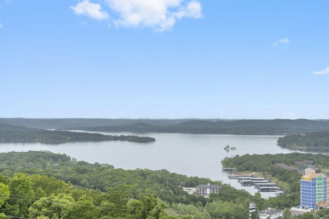 130 Royal Vista Dr Unit 611, Branson, MO 65616 - photo 24
