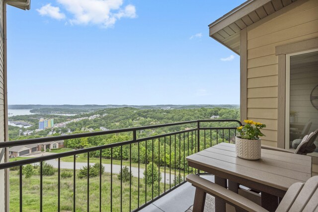 130 Royal Vista Dr Unit 611, Branson, MO 65616 - photo 23