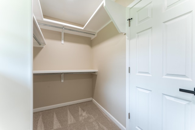 walk in closet featuring carpet flooring