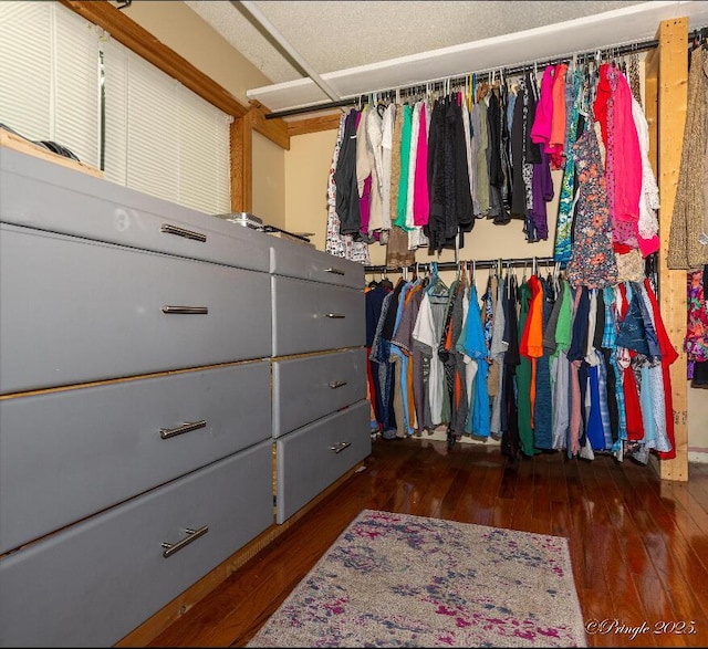 spacious closet with hardwood / wood-style floors