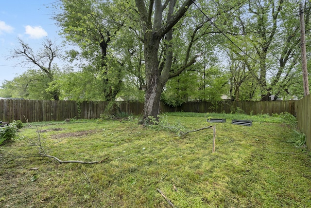 view of yard with a fenced backyard