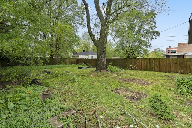 view of yard featuring a fenced backyard