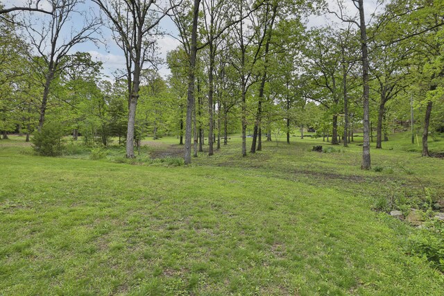 1730 N Pine St, Marshfield, MO 65706 - view of yard