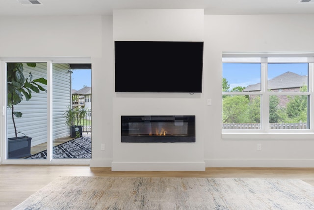 635 W Bridgewood Ct, Springfield, MO 65803 - detailed view of wood finished floors, baseboards, and a glass covered fireplace