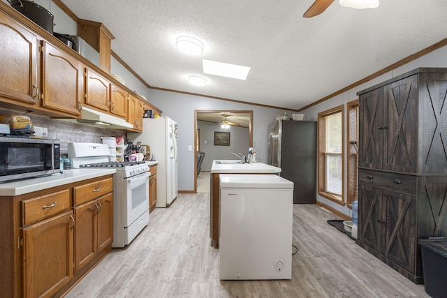 kitchen with ceiling fan, appliances with stainless steel finishes, light wood-style floors, under cabinet range hood, and ornamental molding