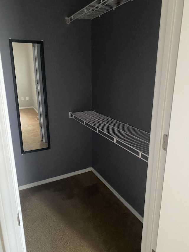 walk in closet featuring carpet floors
