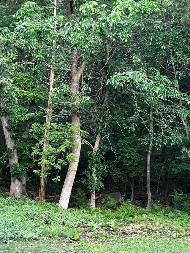 249 Mount Vernon Rd, Forsyth, MO 65653 - view of landscape with a view of trees