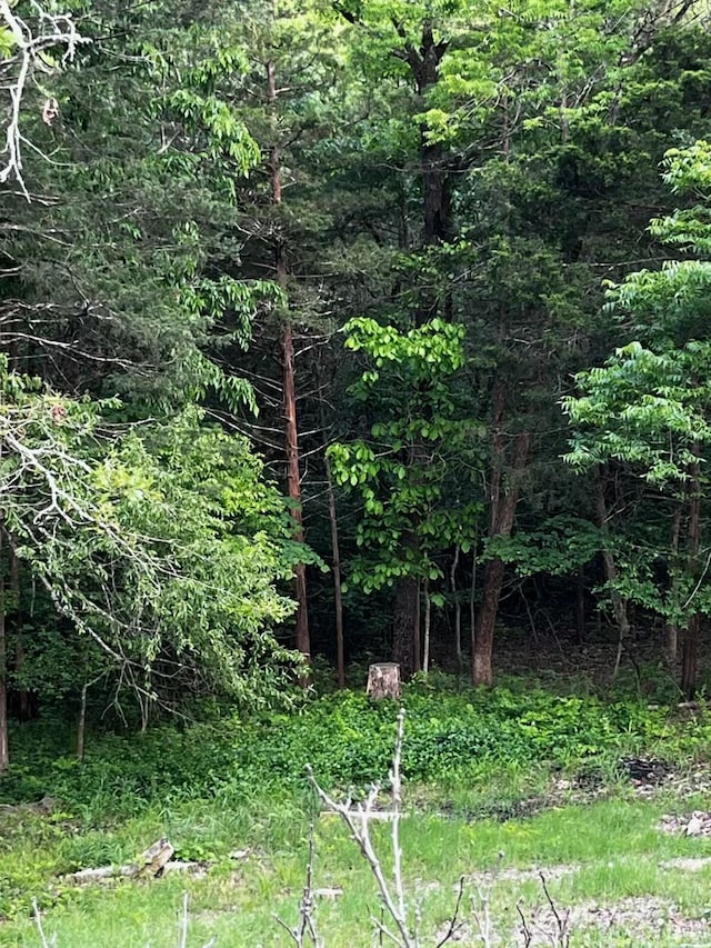 249 Mount Vernon Rd, Forsyth, MO 65653 - view of nature with a view of trees