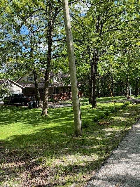 249 Mount Vernon Rd, Forsyth, MO 65653 - view of yard
