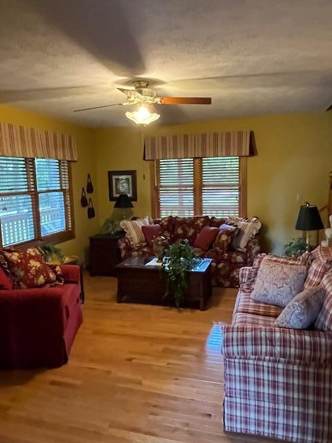 249 Mount Vernon Rd, Forsyth, MO 65653 - living room featuring ceiling fan and wood finished floors