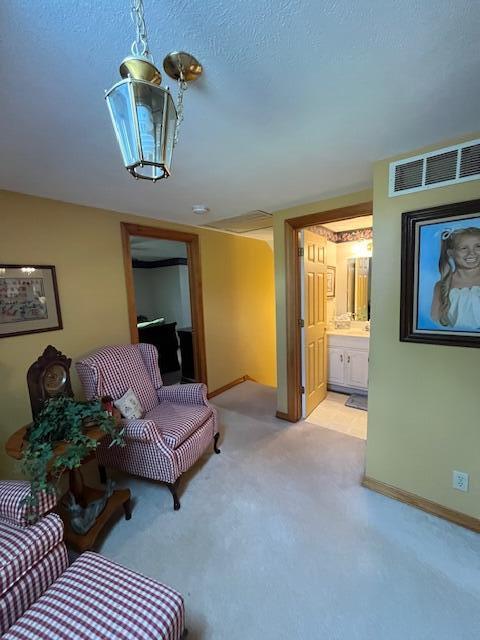 249 Mount Vernon Rd, Forsyth, MO 65653 - living area featuring visible vents, baseboards, and light colored carpet