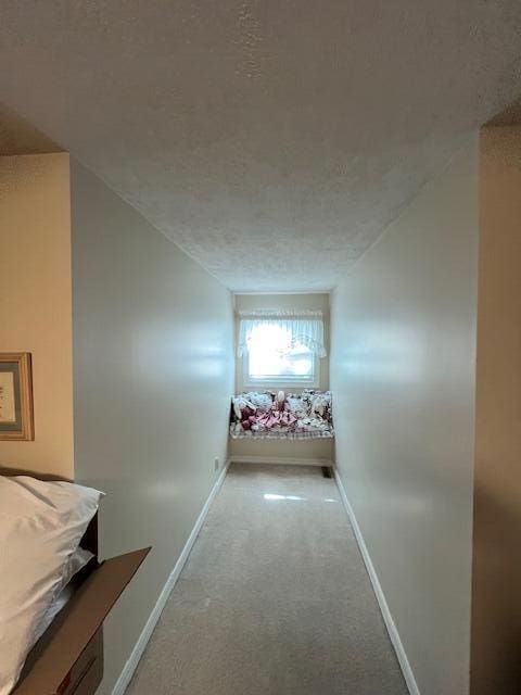 249 Mount Vernon Rd, Forsyth, MO 65653 - hall with carpet floors and baseboards