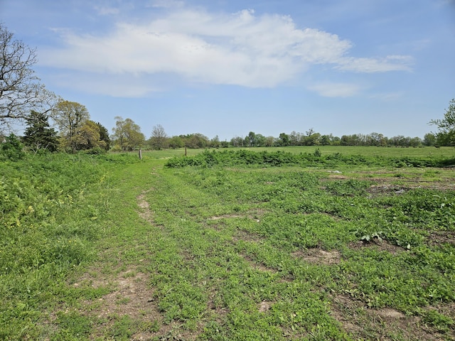 view of nature featuring a rural view