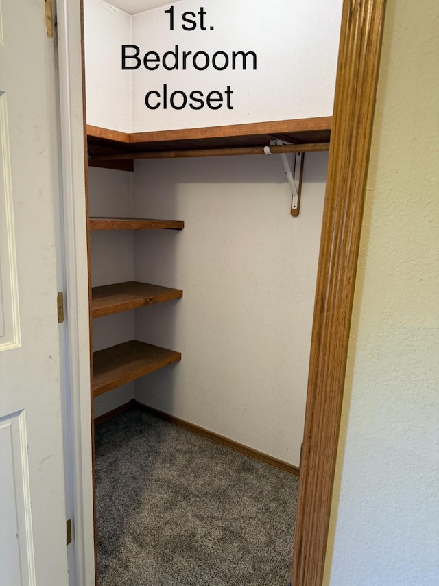 walk in closet featuring carpet flooring
