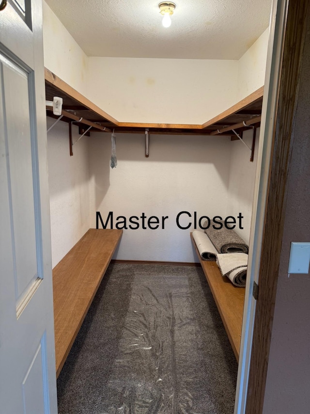 spacious closet featuring carpet floors
