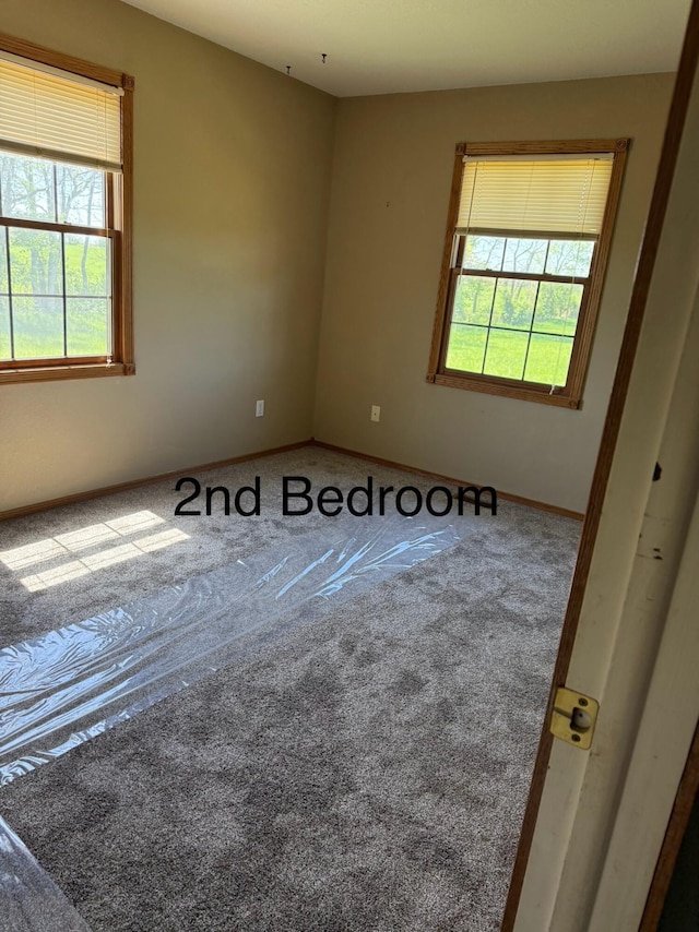 spare room featuring baseboards, a wealth of natural light, and carpet