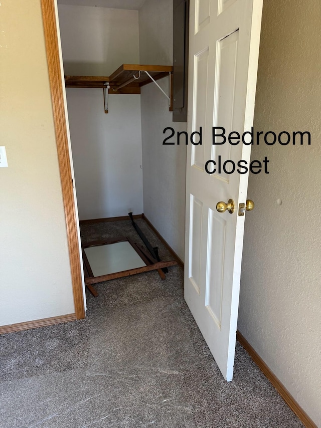 spacious closet with carpet