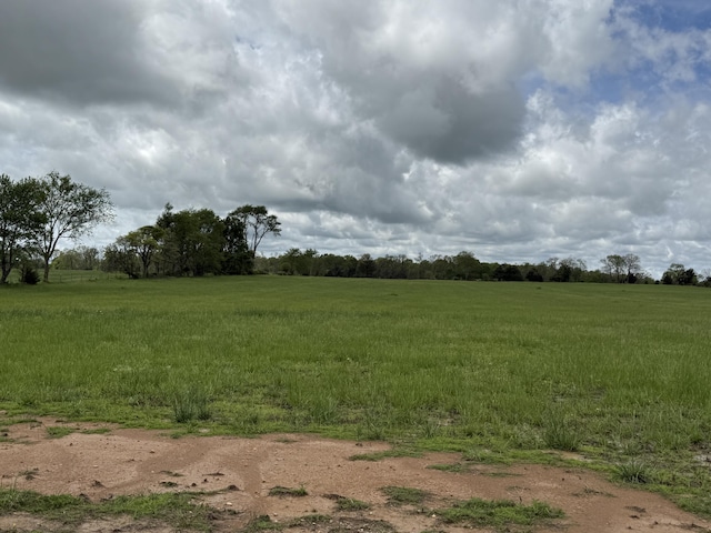 view of landscape with a rural view