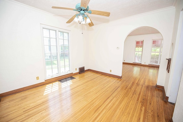 924 S Pickwick Ave, Springfield, MO 65804 - photo 7