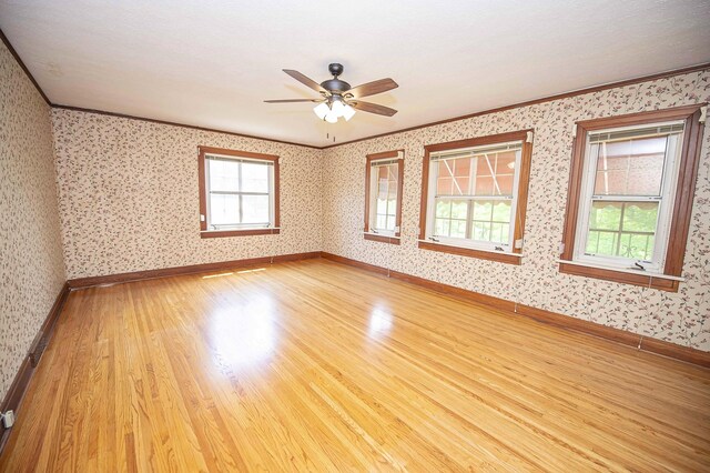924 S Pickwick Ave, Springfield, MO 65804 - photo 24