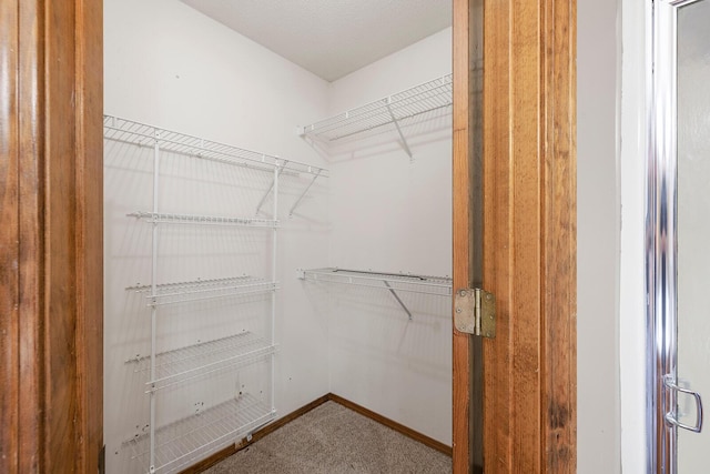 walk in closet featuring carpet flooring