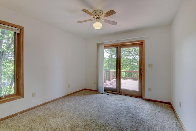 22389 Tucker Hollow Rd, Golden, MO 65658 - photo 26