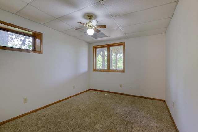 22389 Tucker Hollow Rd, Golden, MO 65658 - photo 46