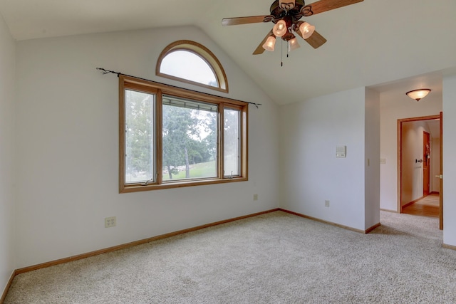 22389 Tucker Hollow Rd, Golden, MO 65658 - photo 35