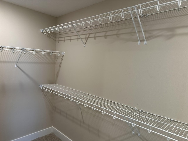view of spacious closet