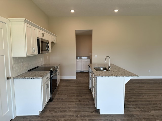 kitchen featuring a sink, stainless steel microwave, electric range, and dark wood-style flooring