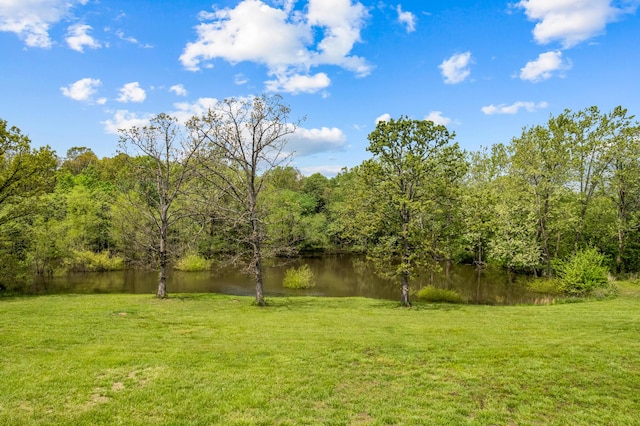 view of yard with a water view and a wooded view