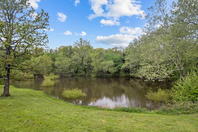 water view featuring a wooded view