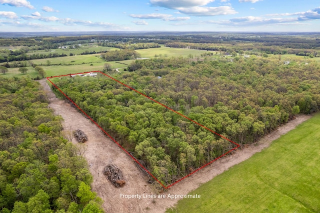 bird's eye view with a view of trees and a rural view