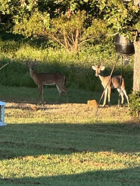 surrounding community with a lawn