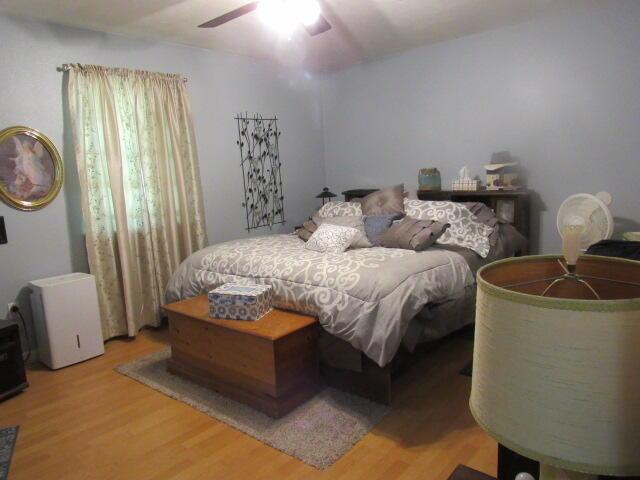 7210 Newkirk Rd, Mountain Grove, MO 65711 - bedroom with a ceiling fan and light wood-style flooring