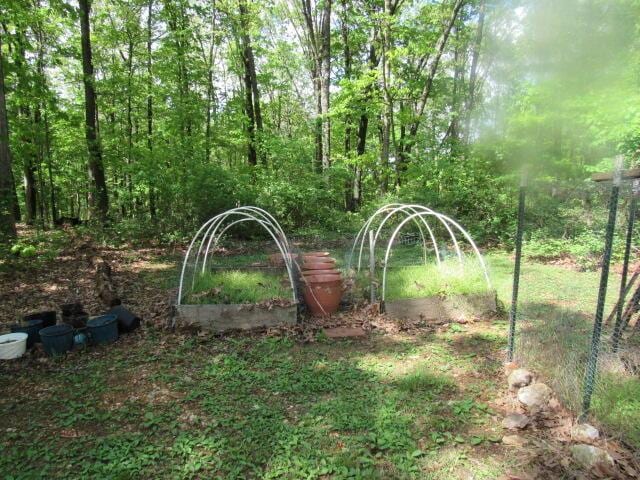 7210 Newkirk Rd, Mountain Grove, MO 65711 - view of yard
