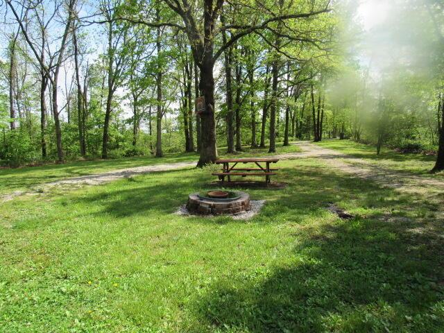 7210 Newkirk Rd, Mountain Grove, MO 65711 - view of yard with a fire pit