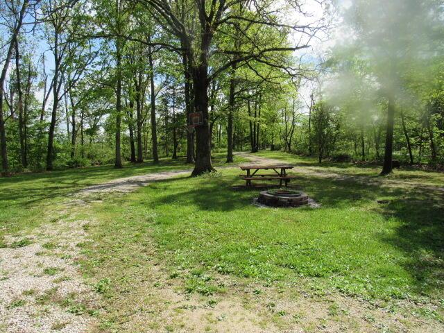 7210 Newkirk Rd, Mountain Grove, MO 65711 - view of yard
