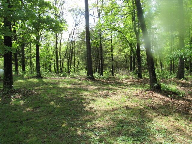 7210 Newkirk Rd, Mountain Grove, MO 65711 - view of local wilderness with a forest view