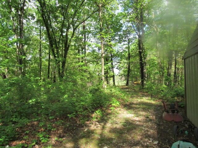 7210 Newkirk Rd, Mountain Grove, MO 65711 - view of local wilderness with a wooded view