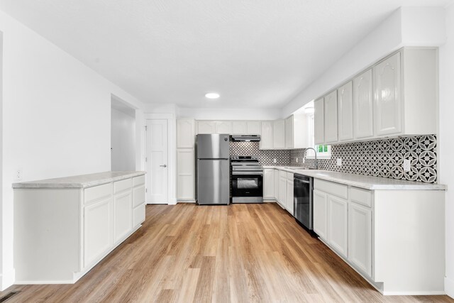 1107 E Mccracken Rd, Ozark, MO 65721 - kitchen featuring under cabinet range hood, a sink, light wood-type flooring, and appliances with stainless steel finishes